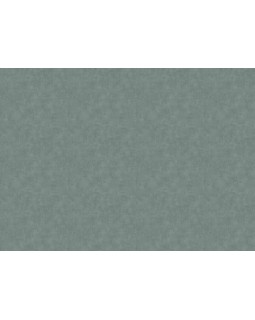 12823 Обои Zambaiti (Lamborghini 3) (1*6) 10,05x0,70 винил на флизелине-foto2