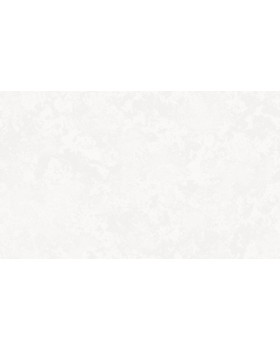 R157001 Обои Grandeco (SECRET) (1*6) 10,05х1,06  винил на флизелине