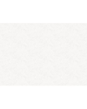 R157001 Обои Grandeco (SECRET) (1*6) 10,05х1,06  винил на флизелине-foto2