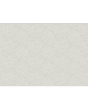 R157002 Обои Grandeco (SECRET) (1*6) 10,05х1,06  винил на флизелине-foto2