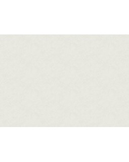 R157012 Обои Grandeco (SECRET) (1*6) 10,05х1,06  винил на флизелине-foto2