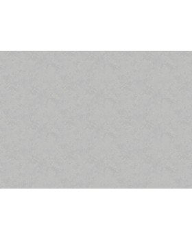 R157009 Обои Grandeco (SECRET) (1*6) 10,05х1,06  винил на флизелине-foto2