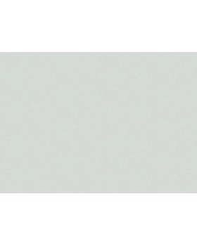 30156 Обои Marburg (The new Bombay) (1*4) 10,05x0,92 винил на флизелине-foto2