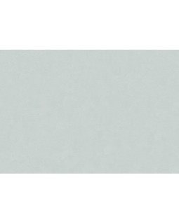 30157 Обои Marburg (The new Bombay) (1*4) 10,05x0,92 винил на флизелине