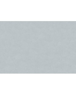 30172 Обои Marburg (The new Bombay) (1*4) 10,05x0,92 винил на флизелине