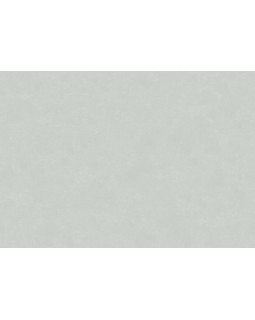 30173 Обои Marburg (The new Bombay) (1*4) 10,05x0,92 винил на флизелине