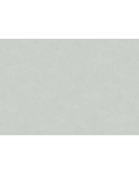 30173 Обои Marburg (The new Bombay) (1*4) 10,05x0,92 винил на флизелине
