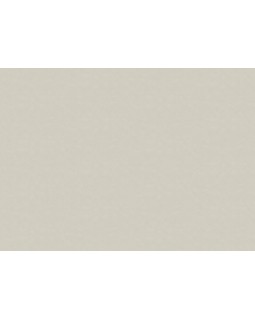 30176 Обои Marburg (The new Bombay) (1*4) 10,05x0,92 винил на флизелине-foto2