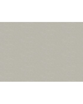 30178 Обои Marburg (The new Bombay) (1*4) 10,05x0,92 винил на флизелине-foto2