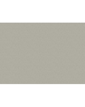 30179 Обои Marburg (The new Bombay) (1*4) 10,05x0,92 винил на флизелине-foto2