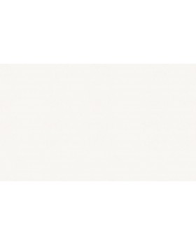 A100101 Обои ARTSIMPLE (Mixture) (1*6) 10,00x1,06 винил на флизелине