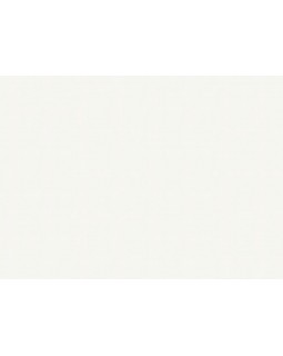 A100101 Обои ARTSIMPLE (Mixture) (1*6) 10,00x1,06 винил на флизелине-foto2