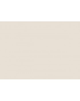 A100103 Обои ARTSIMPLE (Mixture) (1*6) 10,00x1,06 винил на флизелине-foto2