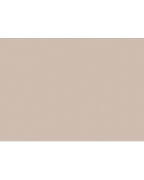 A100106 Обои ARTSIMPLE (Mixture) (1*6) 10,00x1,06 винил на флизелине-foto2