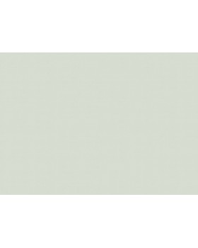 A100107 Обои ARTSIMPLE (Mixture) (1*6) 10,00x1,06 винил на флизелине-foto2