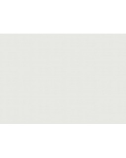 A100112 Обои ARTSIMPLE (Mixture) (1*6) 10,00x1,06 винил на флизелине-foto2