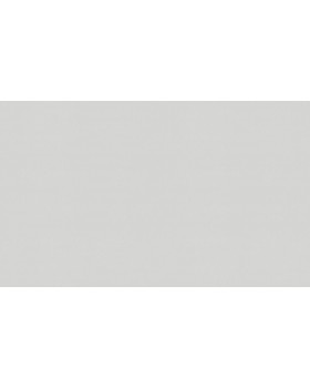 A100113 Обои ARTSIMPLE (Mixture) (1*6) 10,00x1,06 винил на флизелине