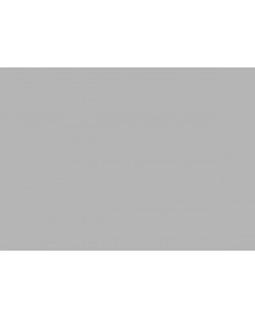 A100115 Обои ARTSIMPLE (Mixture) (1*6) 10,00x1,06 винил на флизелине-foto2