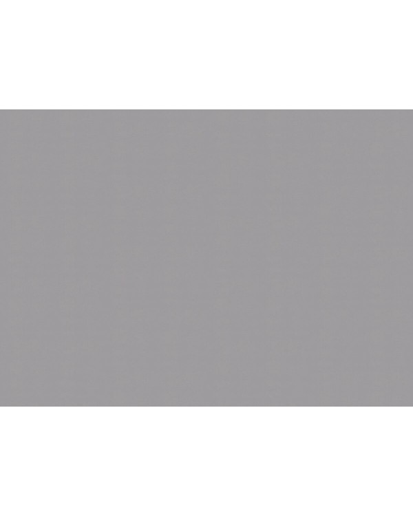 A100116 Обои ARTSIMPLE (Mixture) (1*6) 10,00x1,06 винил на флизелине