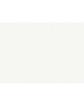 A100201 Обои ARTSIMPLE (Mixture) (1*6) 10,00x1,06 винил на флизелине-foto2