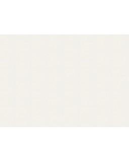 A100202 Обои ARTSIMPLE (Mixture) (1*6) 10,00x1,06 винил на флизелине-foto2