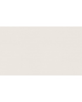 A100203 Обои ARTSIMPLE (Mixture) (1*6) 10,00x1,06 винил на флизелине