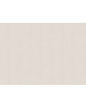 A100204 Обои ARTSIMPLE (Mixture) (1*6) 10,00x1,06 винил на флизелине-foto2