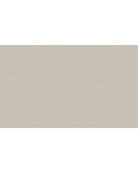 A100206 Обои ARTSIMPLE (Mixture) (1*6) 10,00x1,06 винил на флизелине A100206 Обои ARTSIMPLE (Mixture) (1*6) 10,00x1,06 винил на флизелине