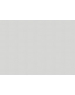 A100211 Обои ARTSIMPLE (Mixture) (1*6) 10,00x1,06 винил на флизелине-foto2