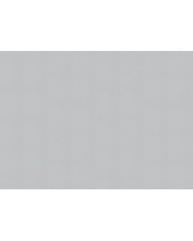 A100213 Обои ARTSIMPLE (Mixture) (1*6) 10,00x1,06 винил на флизелине-foto2