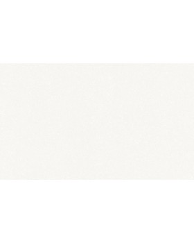 A100301 Обои ARTSIMPLE (Mixture) (1*6) 10,00x1,06 винил на флизелине