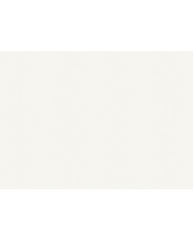 A100301 Обои ARTSIMPLE (Mixture) (1*6) 10,00x1,06 винил на флизелине-foto2