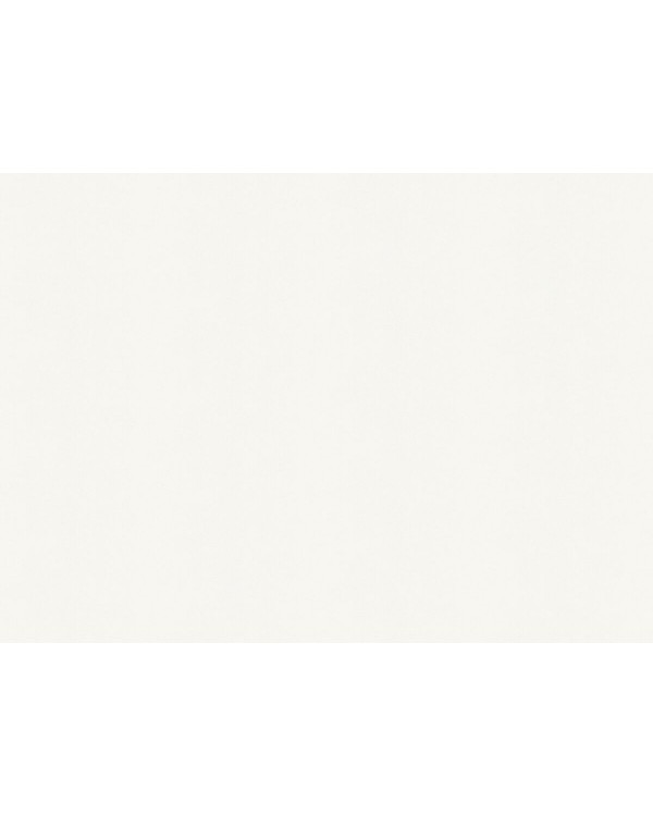 A100301 Обои ARTSIMPLE (Mixture) (1*6) 10,00x1,06 винил на флизелине