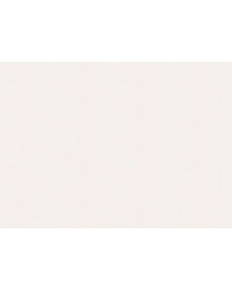 A100302 Обои ARTSIMPLE (Mixture) (1*6) 10,00x1,06 винил на флизелине-foto2