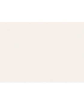 A100302 Обои ARTSIMPLE (Mixture) (1*6) 10,00x1,06 винил на флизелине-foto2