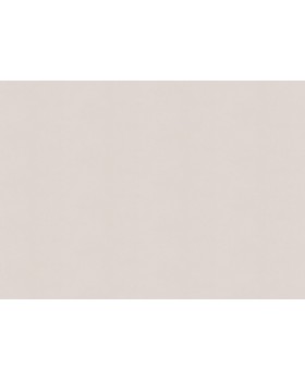 A100304 Обои ARTSIMPLE (Mixture) (1*6) 10,00x1,06 винил на флизелине-foto2