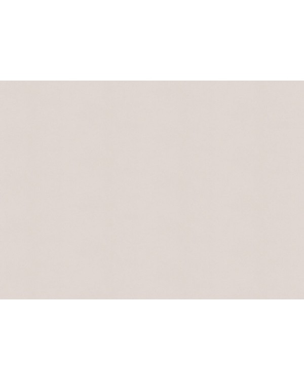 A100304 Обои ARTSIMPLE (Mixture) (1*6) 10,00x1,06 винил на флизелине
