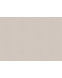 A100305 Обои ARTSIMPLE (Mixture) (1*6) 10,00x1,06 винил на флизелине-foto2