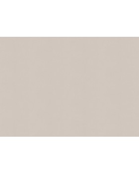 A100305 Обои ARTSIMPLE (Mixture) (1*6) 10,00x1,06 винил на флизелине-foto2