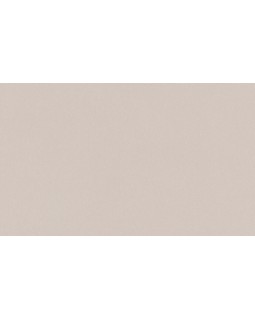 A100305 Обои ARTSIMPLE (Mixture) (1*6) 10,00x1,06 винил на флизелине