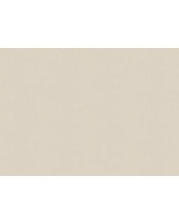 A100307 Обои ARTSIMPLE (Mixture) (1*6) 10,00x1,06 винил на флизелине-foto2