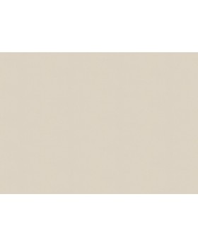 A100307 Обои ARTSIMPLE (Mixture) (1*6) 10,00x1,06 винил на флизелине-foto2