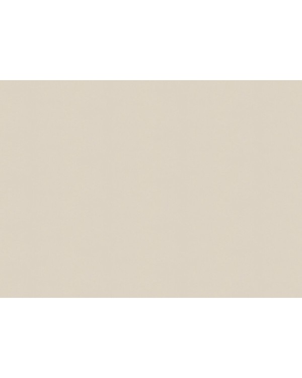 A100307 Обои ARTSIMPLE (Mixture) (1*6) 10,00x1,06 винил на флизелине
