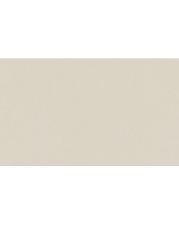 A100307 Обои ARTSIMPLE (Mixture) (1*6) 10,00x1,06 винил на флизелине