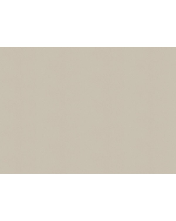 A100308 Обои ARTSIMPLE (Mixture) (1*6) 10,00x1,06 винил на флизелине