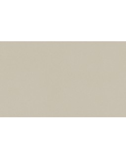 A100308 Обои ARTSIMPLE (Mixture) (1*6) 10,00x1,06 винил на флизелине