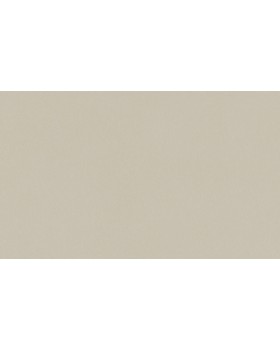 A100308 Обои ARTSIMPLE (Mixture) (1*6) 10,00x1,06 винил на флизелине
