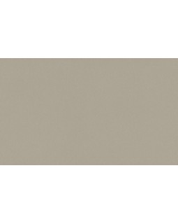 A100309 Обои ARTSIMPLE (Mixture) (1*6) 10,00x1,06 винил на флизелине