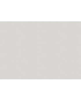 A100310 Обои ARTSIMPLE (Mixture) (1*6) 10,00x1,06 винил на флизелине-foto2