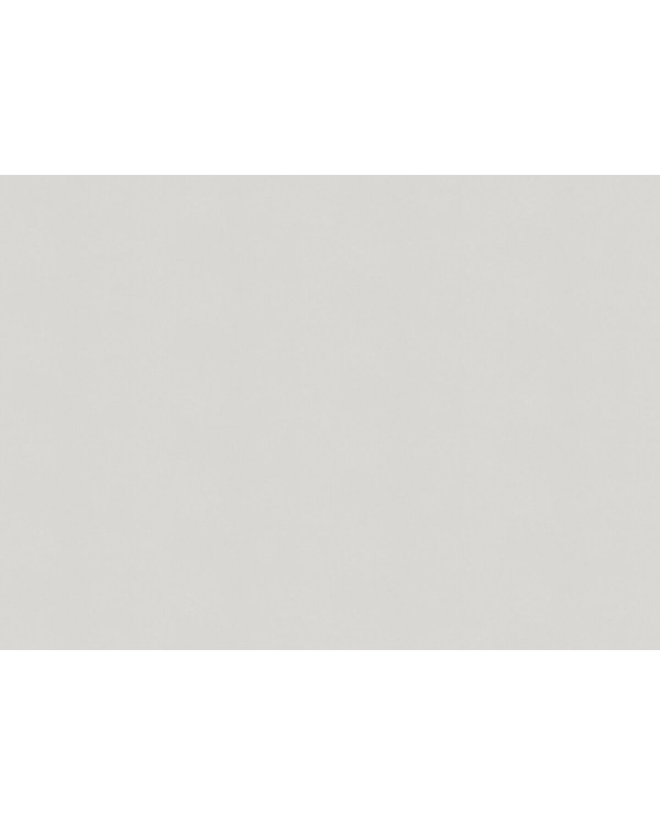 A100310 Обои ARTSIMPLE (Mixture) (1*6) 10,00x1,06 винил на флизелине